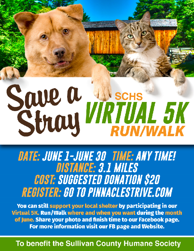 SCHS Save A Stray Vertual 5K